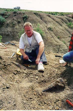 John excavating triceratops bone