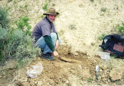 Keith excavating a new triceratops skeleton