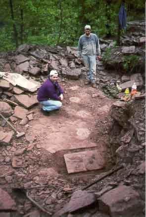 Grallator trackway exposed