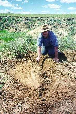 Roy exposing a triceratops rib section